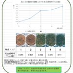 目視緑度と、光合成収率の関係（サンプル：スクラム）について – 独自開発天然芝【スクラム】