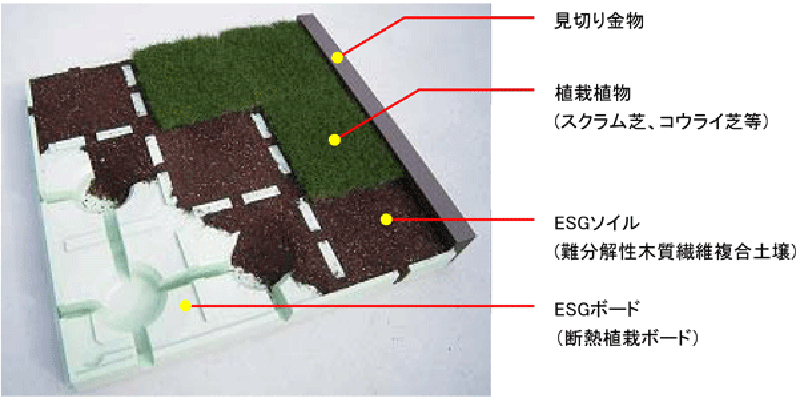 エスグリーン・ネオ内部構造説明図